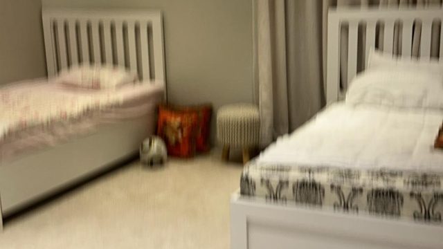 WhatsApp-Image-2026-02-01-at-12.10.21-PM0000