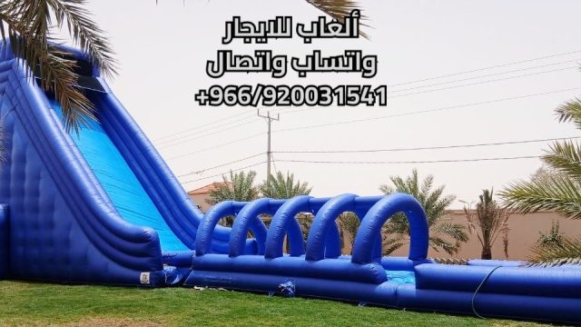 5796500116683296605_121-1